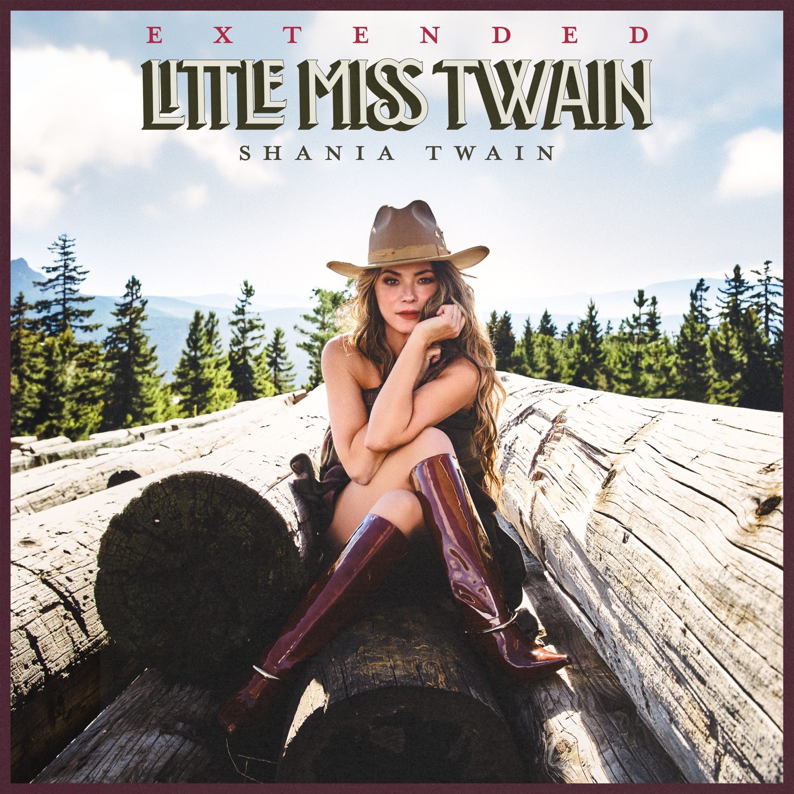 Visuel du single Dirty Rosie de Shania Twain