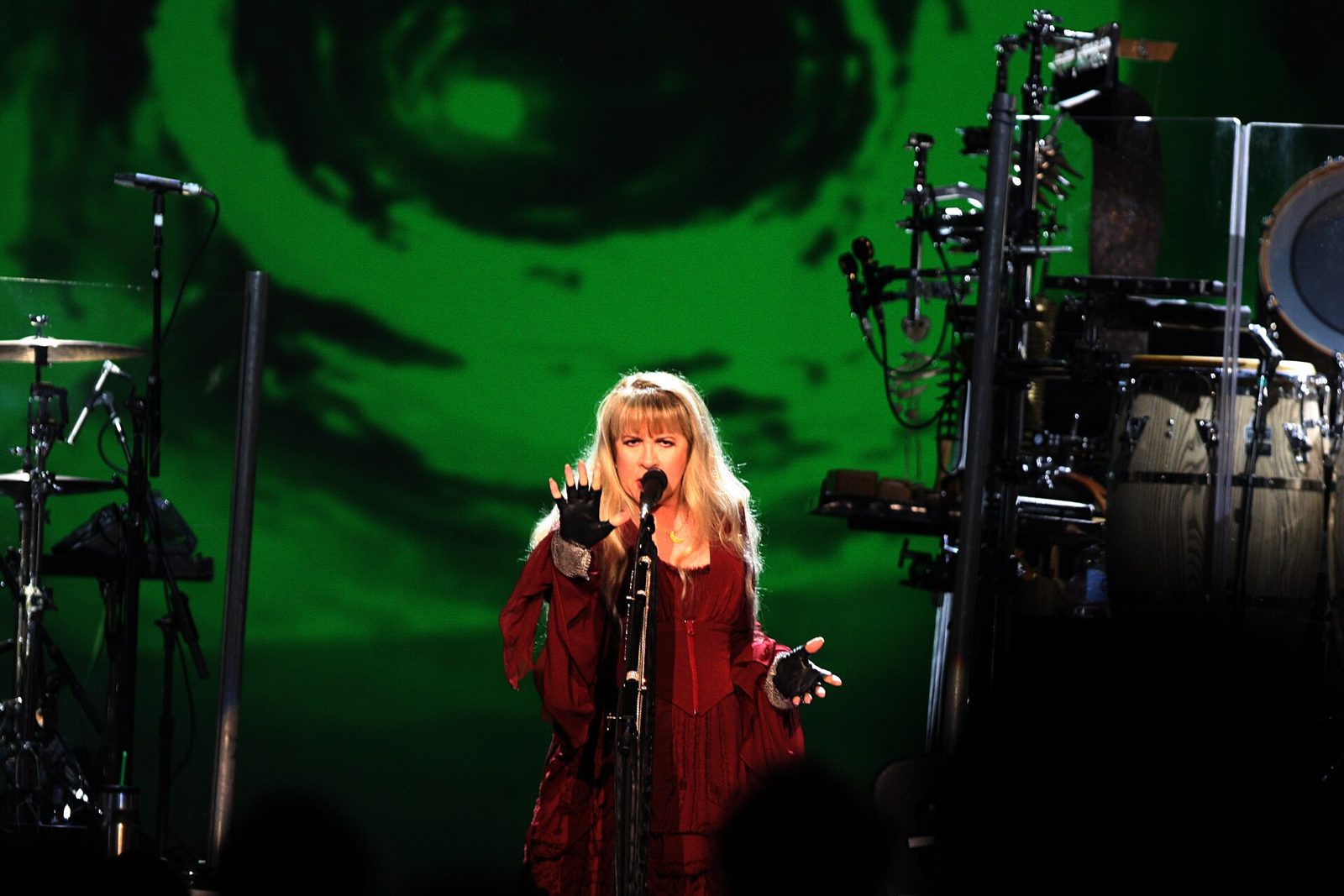 Stevie Nicks sur scène