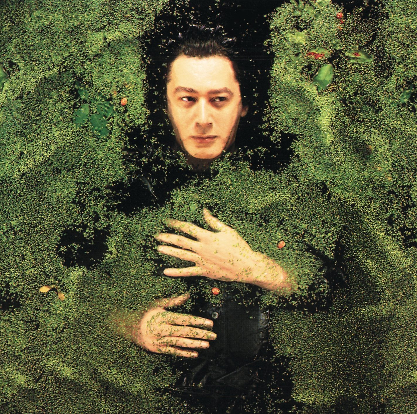 Pochette de l album Fantaisie militaire d Alain Bashung