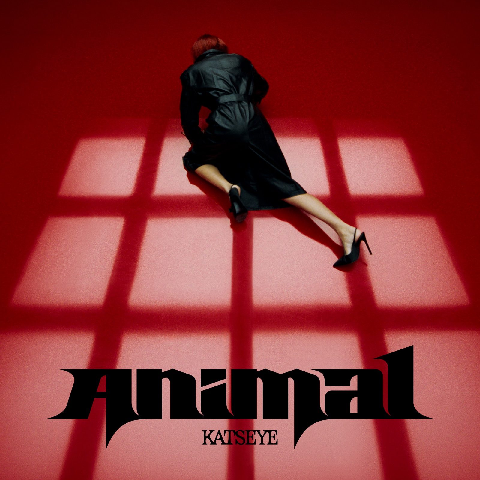 KATSEYE, « Animal »