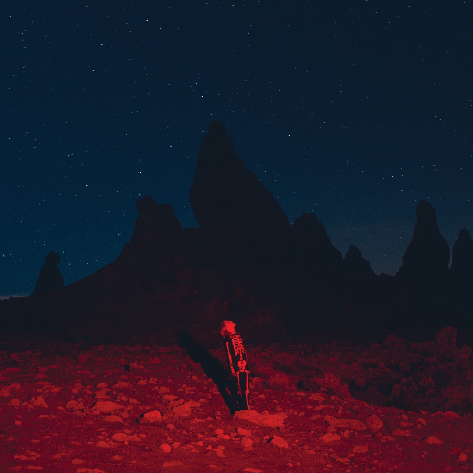 Pochette de l'album Punisher de Phoebe Bridgers