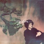 Pochette de l album Tyber de FKJ