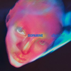 Pochette de l album Dopamine Chamber de Fontaines D.C.
