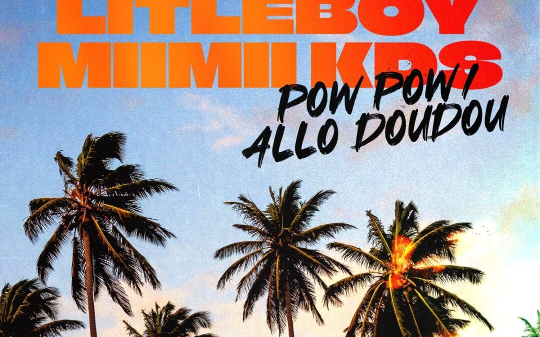 Pochette du single Pow Pow / Allo Doudou de Niska