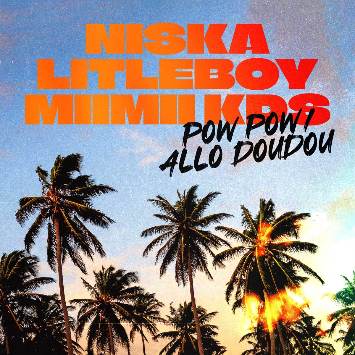 Pochette du single Pow Pow / Allo Doudou de Niska